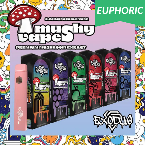 66a3cc67611cd82f00f25279_Shrooms-Banners-1.webp 66a3cc67611cd82f00f25279_Shrooms-Banners-1.webp