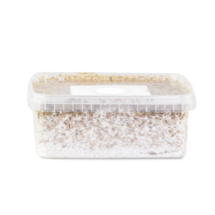Amazonian-Mushroom-Grow-Kit-1-1.jpg