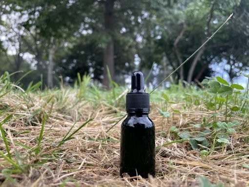 Ayahuasca-Vine-Microdosing-Drops-1-1.jpeg Ayahuasca-Vine-Microdosing-Drops-1-1.jpeg