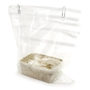 B-Mushroom-Grow-kit-1-1.jpg