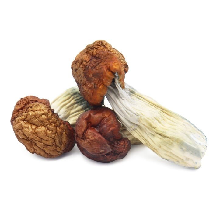 Blue-Pulaski-Magic-Mushrooms-1.jpg