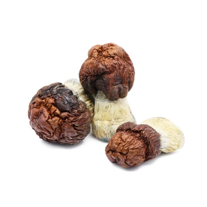 Bluey-Vuitton-Magic-Mushrooms-1.jpg