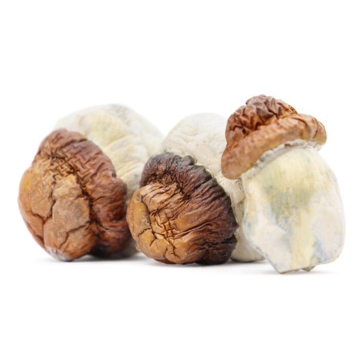 Code-Blue-Magic-Mushrooms-1.jpg Code-Blue-Magic-Mushrooms-1.jpg
