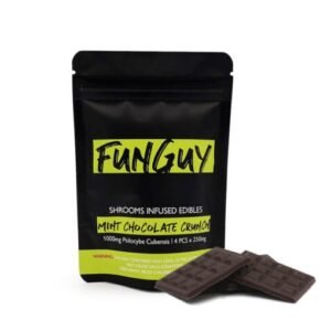 FunGuy Mint Chocolate Crunch Bar