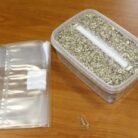 Golden-Teacher-Mushroom-Grow-Kit-1-1.jpg
