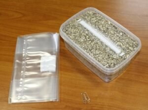 Golden-Teacher-Mushroom-Grow-Kit-1-1.jpg