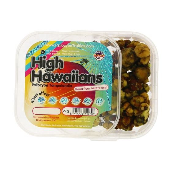 High-Hawaiians-Magic-Truffles-1-1.jpg High-Hawaiians-Magic-Truffles-1-1.jpg