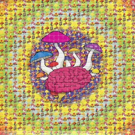 LSD-25-Tabs-Mushroom-Brain-1.jpg LSD-25-Tabs-Mushroom-Brain-1.jpg