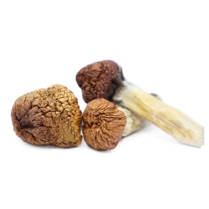 Mazatapec-Magic-Mushrooms-1.jpg