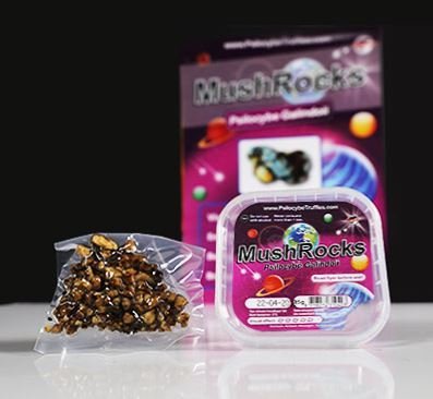 Mushrocks-Magic-Truffles-1-1.jpeg Mushrocks-Magic-Truffles-1-1.jpeg