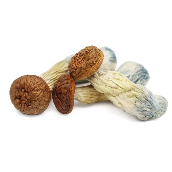 Penis-Envy-Magic-Mushrooms-1.jpg Penis-Envy-Magic-Mushrooms-1.jpg