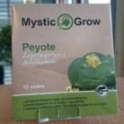 Peyote-seeds-2-1.jpeg