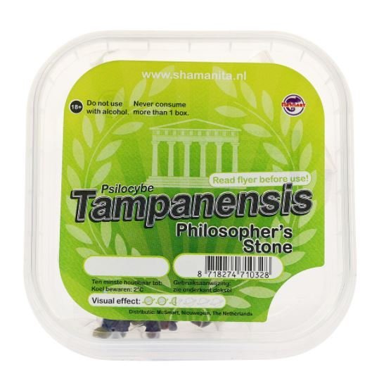 Tampanensis-Magic-Truffles-1-1.jpg Tampanensis-Magic-Truffles-1-1.jpg