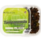 Tampanensis-Magic-Truffles1-1-1.jpg