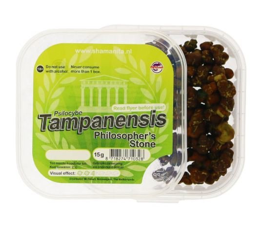 Tampanensis-Magic-Truffles1-1-1.jpg Tampanensis-Magic-Truffles1-1-1.jpg