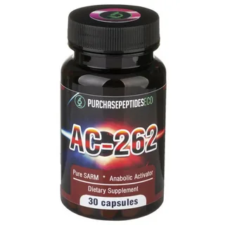 i-2025-08-18T234157.886-1.webp i-2025-08-18T234157.886-1.webp