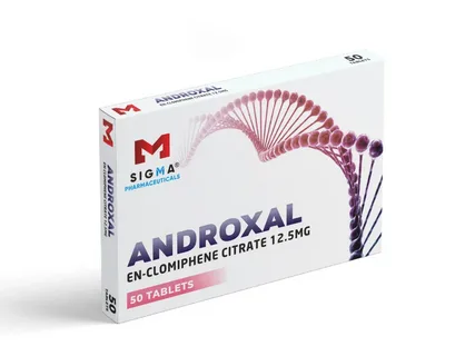 i-2025-09-19T113915.053-1.webp i-2025-09-19T113915.053-1.webp