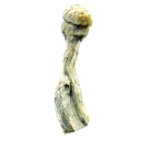 image-16-1-1.png